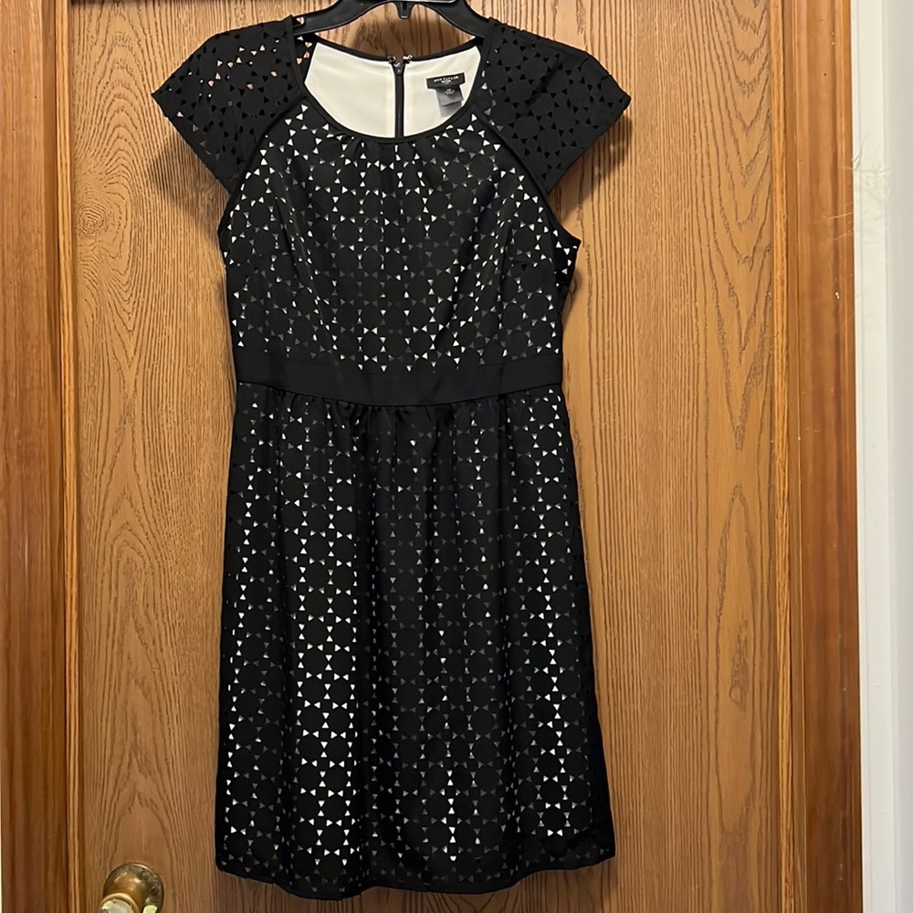 Ann Taylor Dress